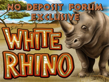 white rhino.jpg