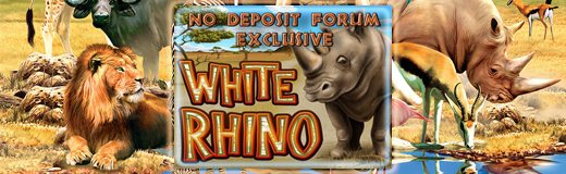 White Rhino newsletter.jpg