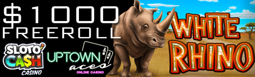 whiterhino6.png