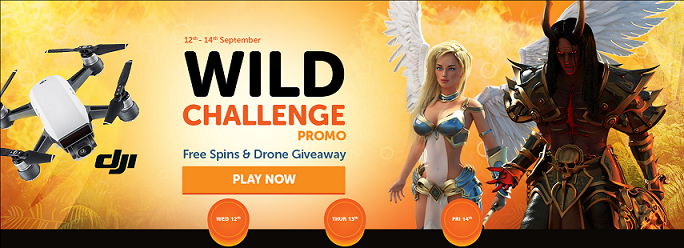 Wild Slots.png