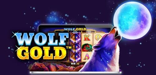 Wolf gold.jpg
