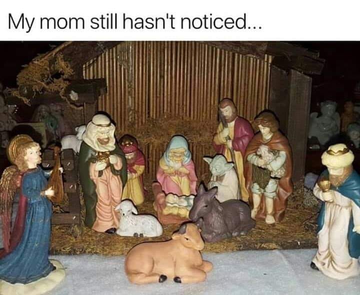 yoda.jpg