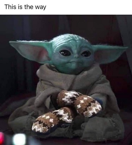 yoda.jpg