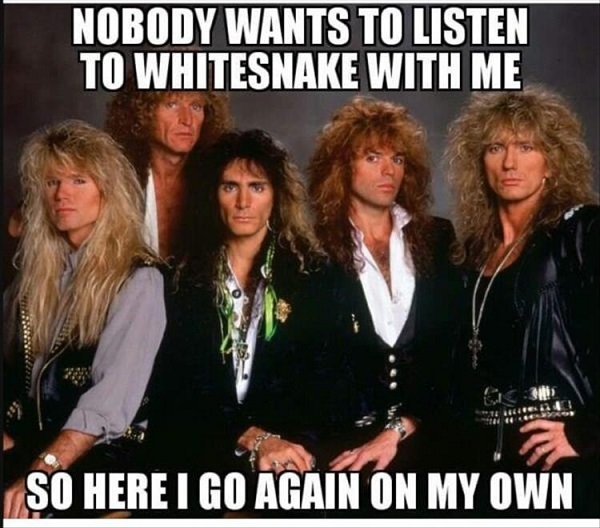 you-like-whitesnake-band.jpg