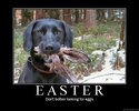 Easter5.jpg