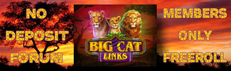 Big Cat Links  freeroll newsletter.jpg