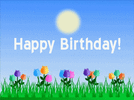 #04bc2c.gif