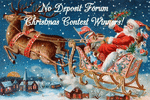ndf christmas contest winners.gif
