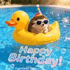 #24a4d4.gif